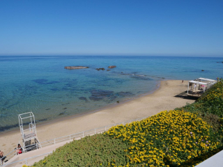Ampurias Beach in spring